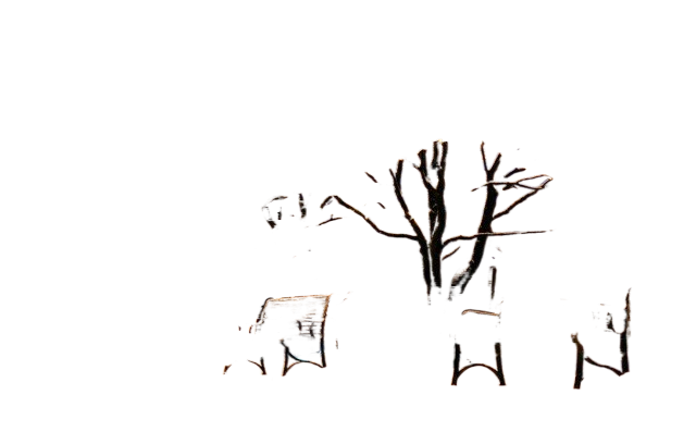 christmas, lights, nature 圣诞节,灯光,自然