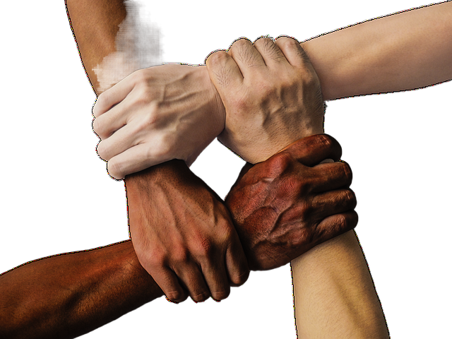 hands, team, united 手,团队,团结