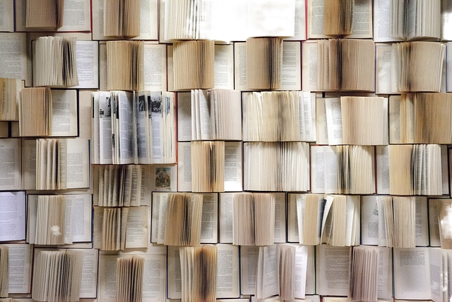 book wall, books, wall 书,书,墙上