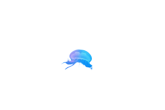jellyfish, animal, underwater