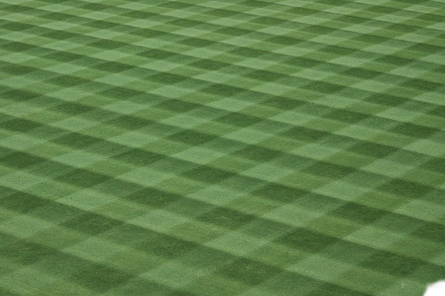 baseball field, landscape, lawn 棒球场,景观,草坪