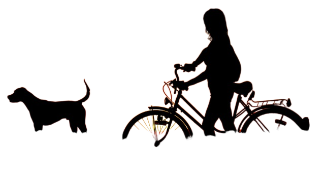 woman, bike, sunset 女人,自行车,日落