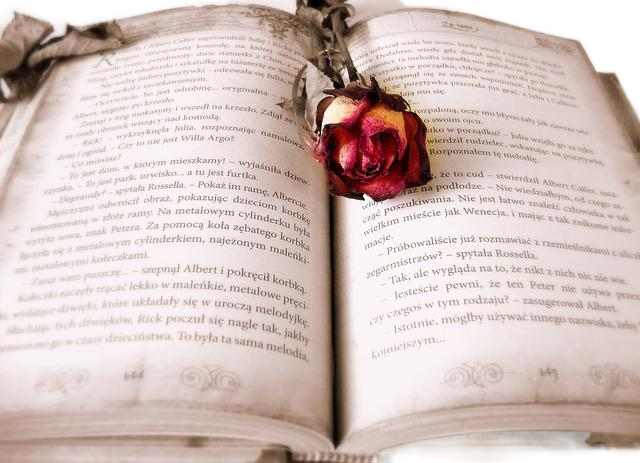 book, rose, book mark 书,玫瑰,马克的书