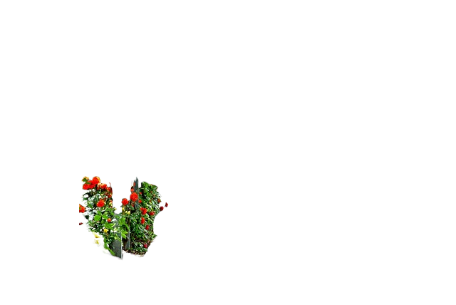 flowers, arches, passage