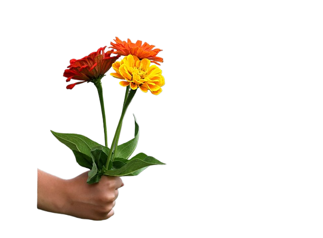 hand, nature, gift