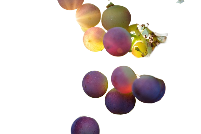 grapes, fruits, food