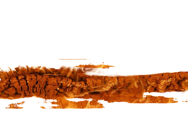 hd wallpaper, fire, wood fire 高清壁纸、火、木火