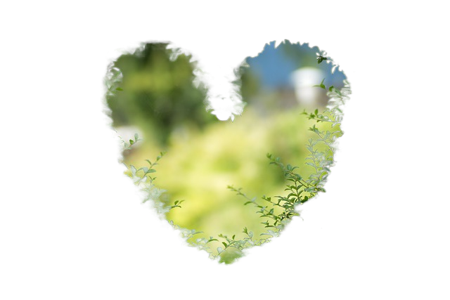 heart, background image, hd wallpaper 心,背景图片,高清壁纸
