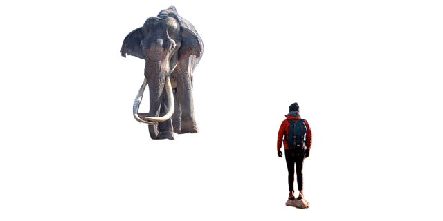 fantasy, elephant, man