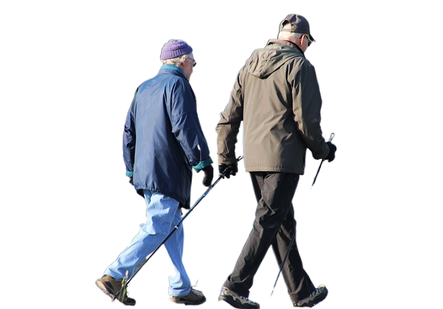senior, walk, pension 高级、行走、养老金