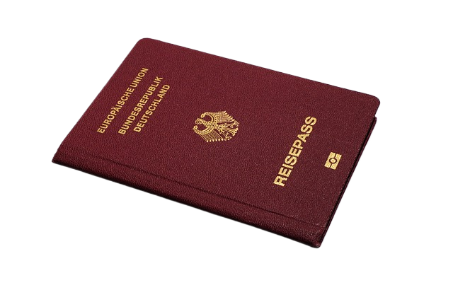passport, travel, document